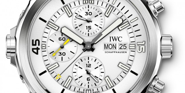 IWC _ Ocean